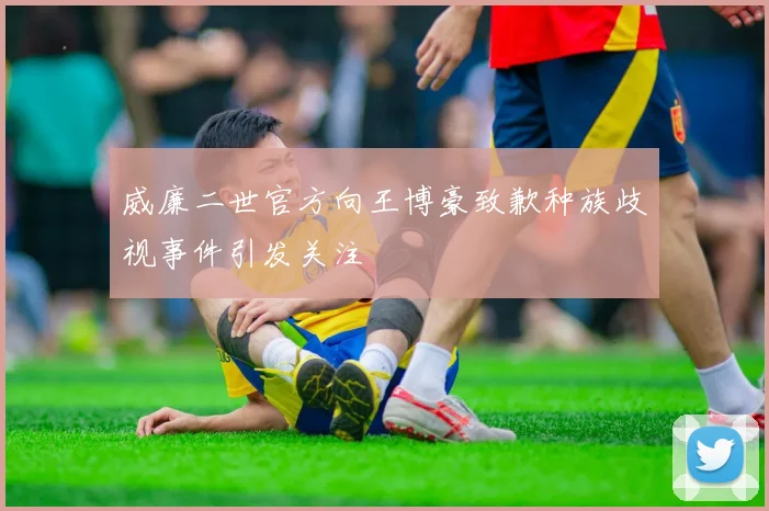 威廉二世官方向王博豪致歉种族歧视事件引发关注